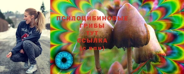 мескалин Армянск
