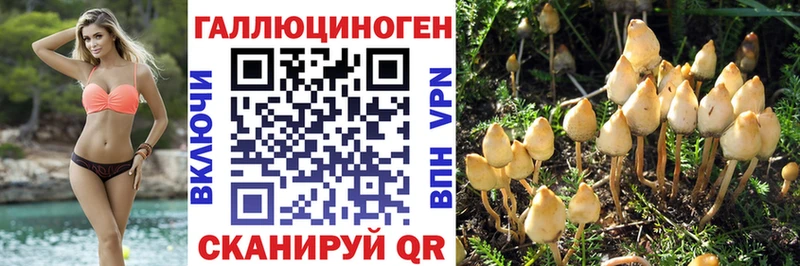 где найти наркотики Тайшет Галлюциногенные грибы мухоморы